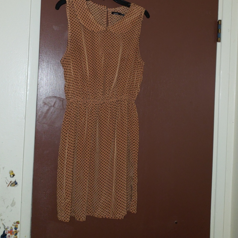 Collar Dress